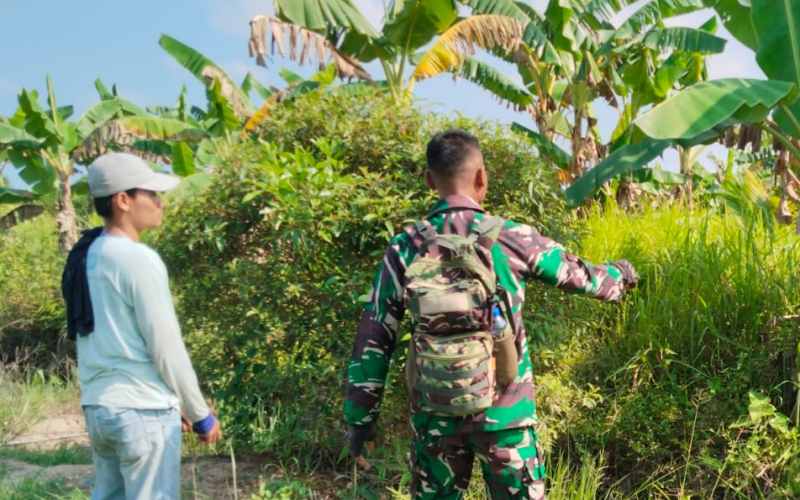 Babinsa Tanjung Penyembal Intensif Patroli Karhutla, Warga Diimbau Jangan Bakar Lahan