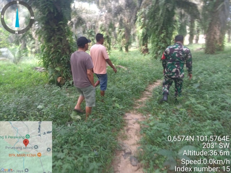 Babinsa Sertu Rudy A. Panjaitan Laksanakan Patroli Karhutla di Rantau Panjang