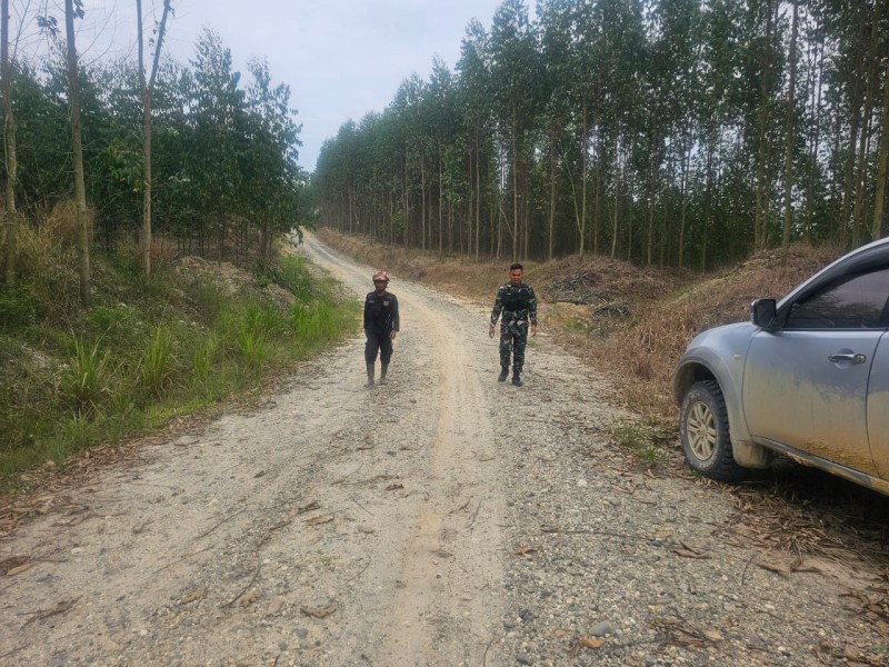 Babinsa Koramil 03/Minas Serda H Pasaribu Laksanakan Patroli Karhutla, Pastikan Wilayah Aman dari Titik Api