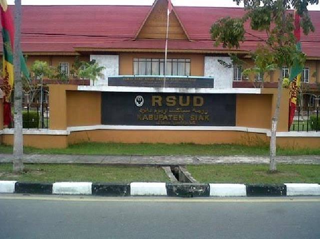 Wow...Dokter ASN Siak yang Mogok Berpenghasilan Puluhan Juta Rupiah