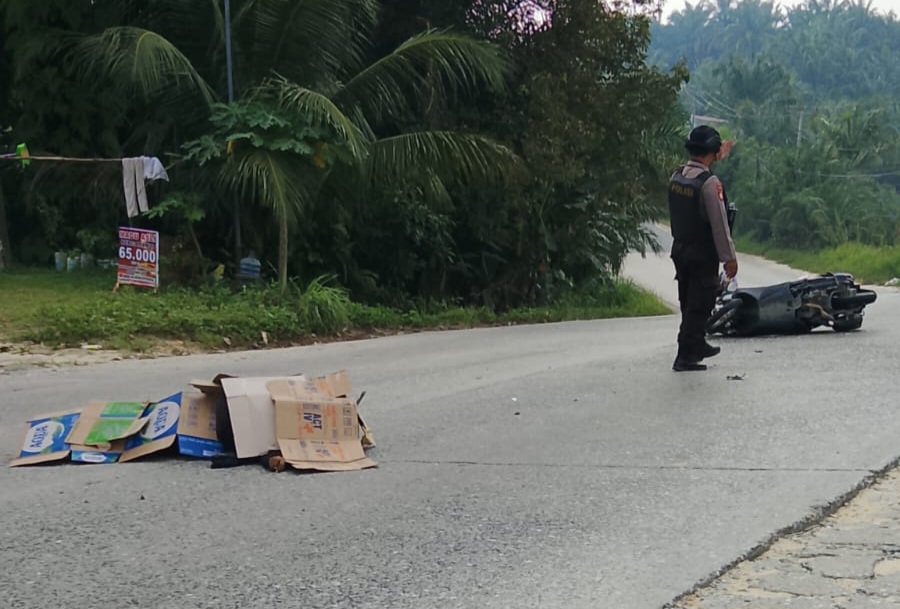 Kecelakaan Maut di KM 41 Minas, Truk Balak Hantam NMAX Saat Menyalip di Tikungan