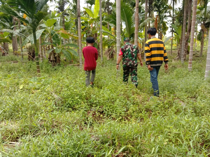 Babinsa Koramil 06/Kateman Gencarkan Patroli Tapal Batas untuk Antisipasi Karhutla