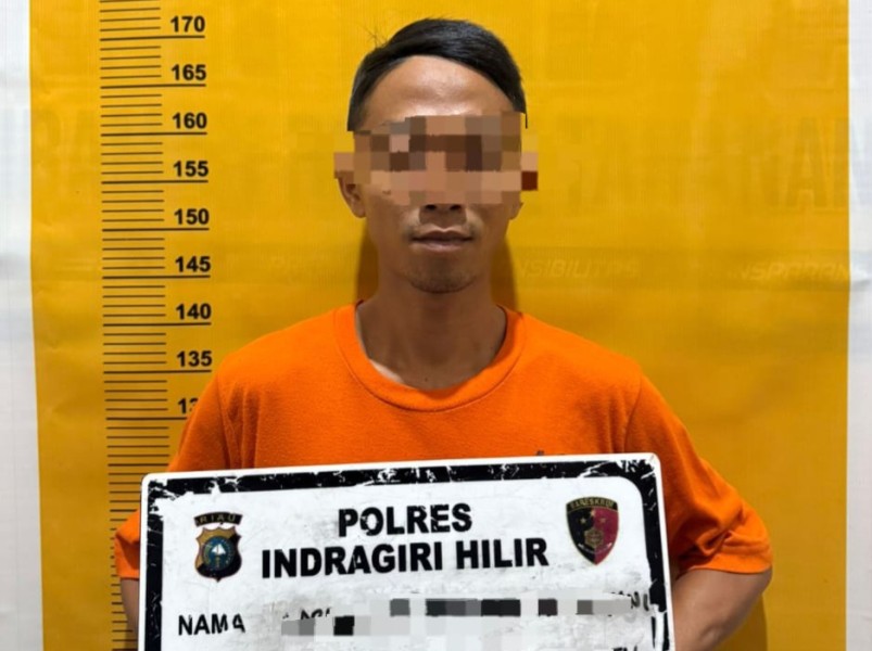 Terbakar di Tengah Gambut, Warga Gaung Ditangkap Polisi Akibat Bakar Lahan 5 Hektare