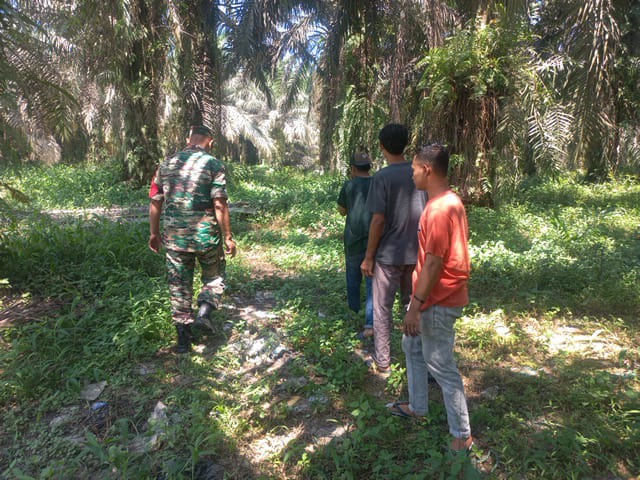 Babinsa Koramil 04/Perawang Gelar Patroli Karhutla di Perawang Barat, Situasi Nihil Titik Api