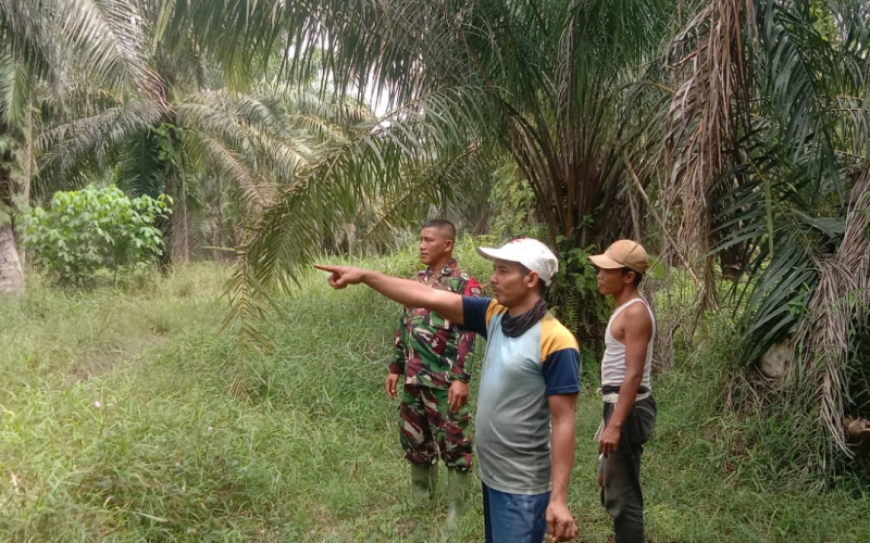 Cegah Karhutla, Babinsa Sungai Sembilan Laksanakan Patroli di Wilayah Gambut Basilam Baru