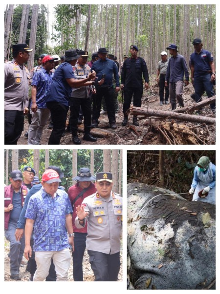 Negara Tak Boleh Kalah Kepada Pemburu Gajah