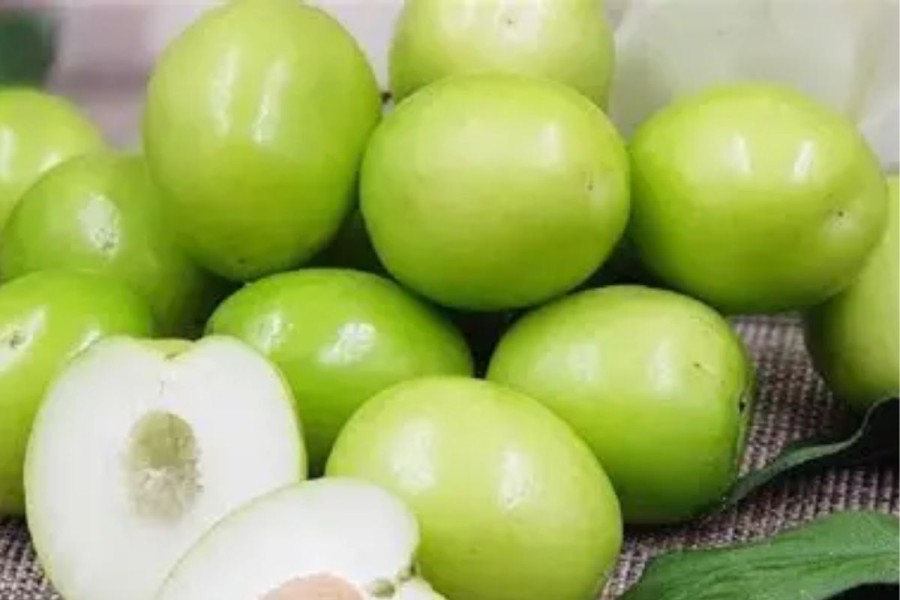 Wajib Tahu, 10 Khasiat Buah Bidara Arab bagi Kesehatan Tubuh!