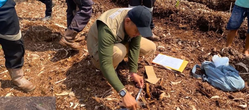 Bocah 12 Tahun di Pelalawan Meninggal Diduga Diserang Harimau Sumatera Saat Menemani Kakaknya