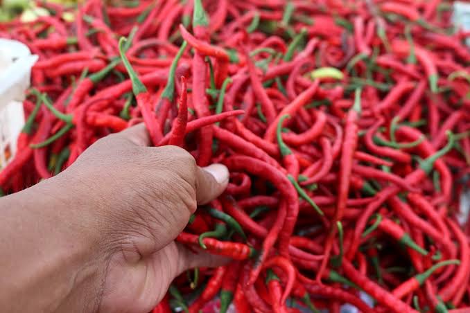 Harga Sembako Melonjak, Pemko Pekanbaru Mulai Pasar Murah Hari Ini