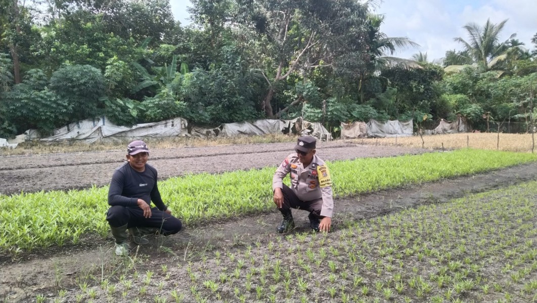 Bhabinkamtibmas Motivasi Petani Manfaatkan Lahan Produktif