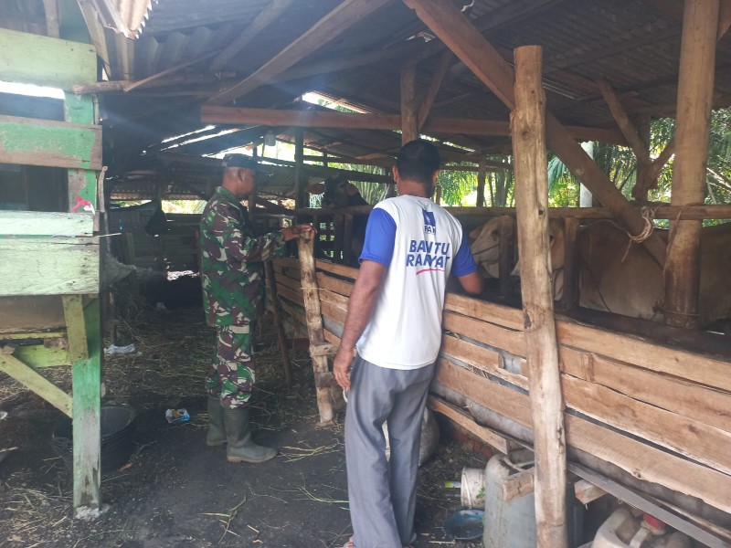 Babinsa Sertu Sarju Laksanakan Surveilans PMK di Kampung Tualang: Tidak Ditemukan Gejala Penyakit pada Ternak
