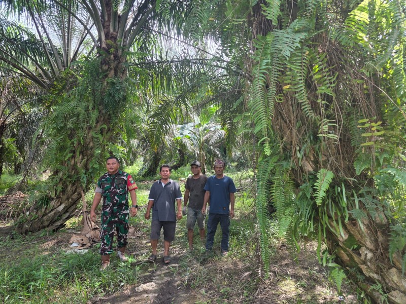 Koptu AKP Hutagalung Patroli Karhutla, Pastikan Wilayah Minas Barat Bebas Titik Api