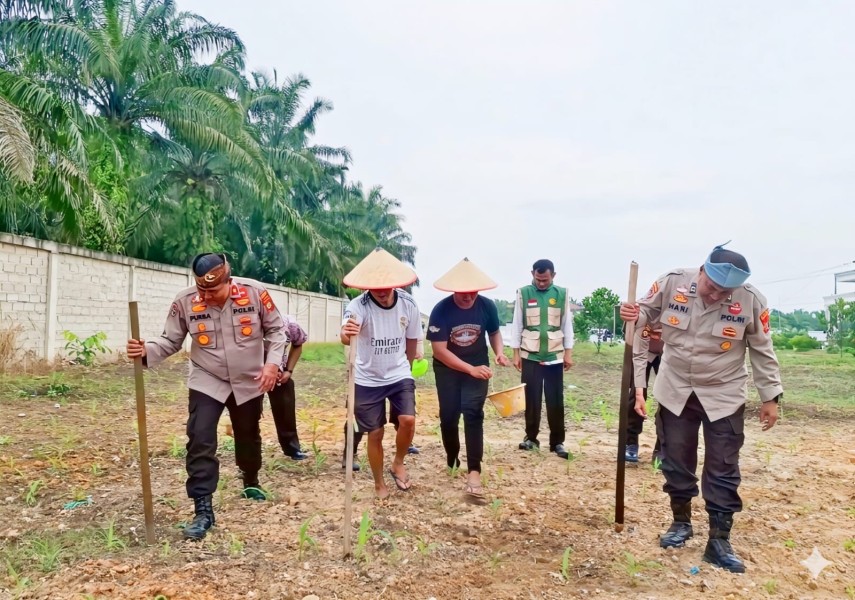 Polsek Ujung Batu Turun ke Lokasi, Kompol Jusup Purba Perkuat Ketahanan Pangan Bersama Petani