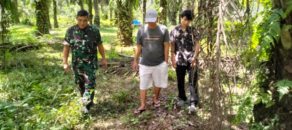 Babinsa Peltu Ramli Nst Patroli Karhutla di Perawang Barat: Wilayah Aman, Tidak Ditemukan Titik Api