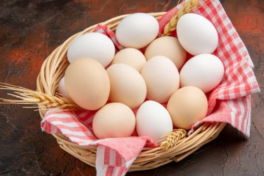 Telur Rebus vs Omelet, Mana Olahan Terbaik untuk Menurunkan Berat Badan?