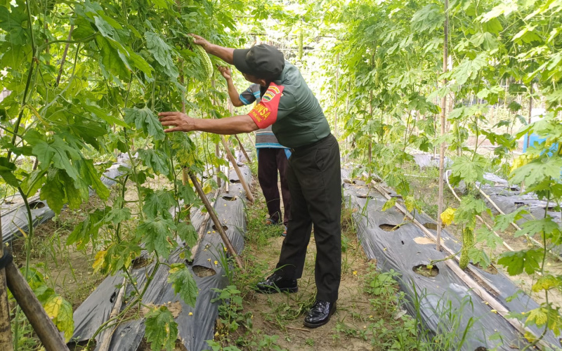Koramil 02 Tekankan Pentingnya Kerjasama dengan Penyuluh Pertanian Lapangan