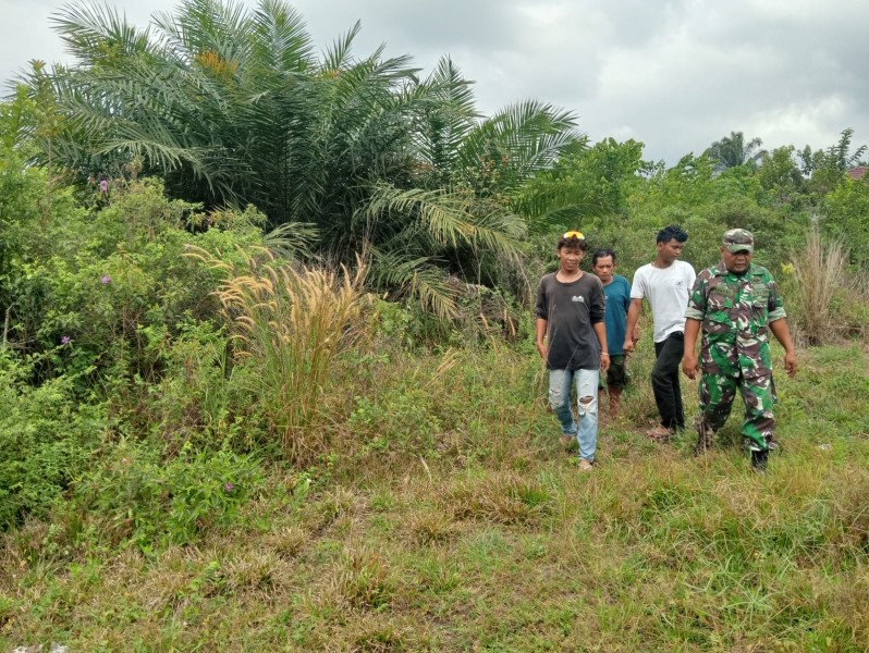 Babinsa Syafri Patroli Karhutla di Pangkalan Pisang, Tidak Ditemukan Titik Api maupun Asap