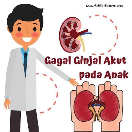 HMI Desak DPRD Inhil Sikapi Lonjakan Kasus Ginjal Anak