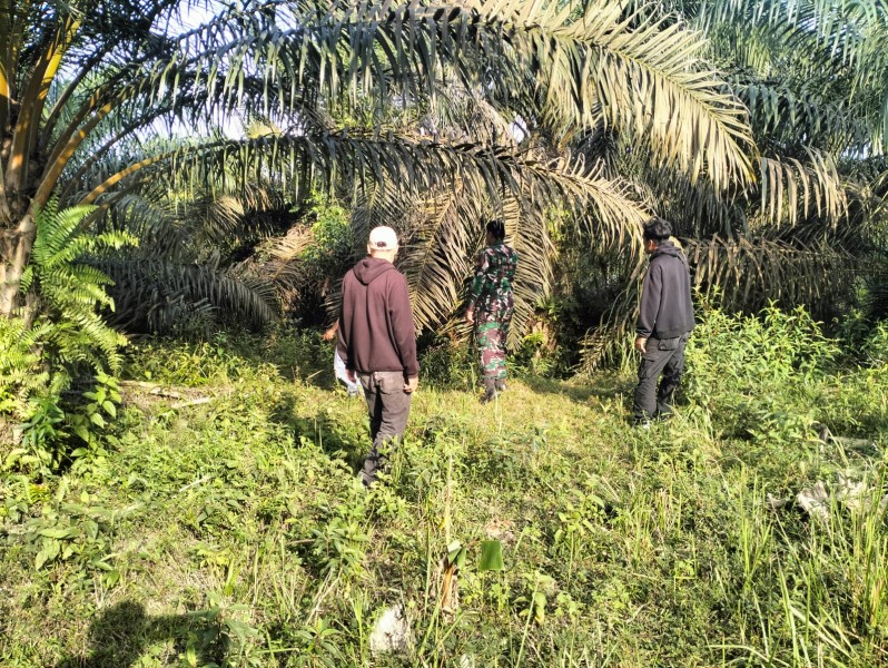 Koptu Salomo Sembiring Patroli Karhutla, Pastikan Wilayah Minas Jaya Bebas Titik Api