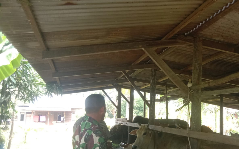 Tak Mau Kecolongan dengan Wabah PMK, Babinsa Rutin Sosialisasi Pencegahan