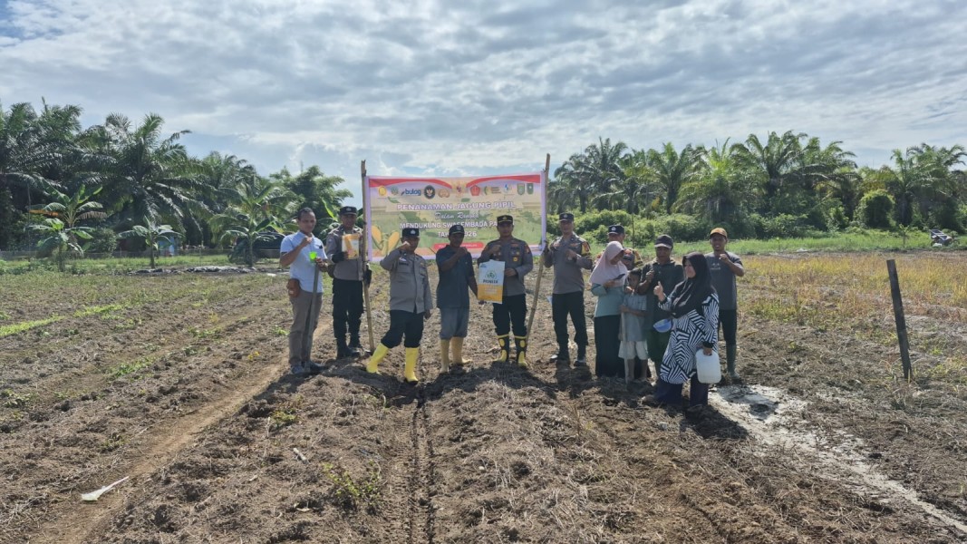 Polsek Sungai Sembilan Tanam Jagung Pipil 4 Hektar, Dukung Program Ketahanan Pangan Nasional 2026