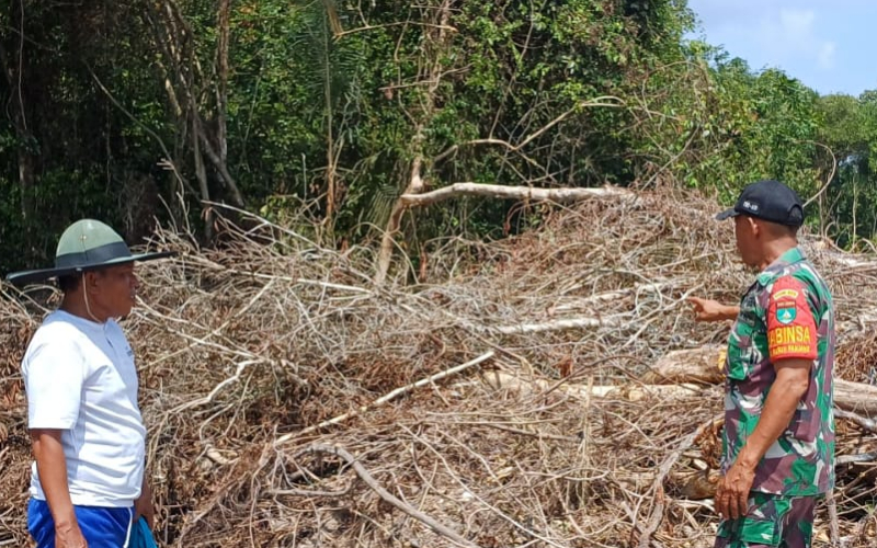 Babinsa Bukit Nenas Dampingi Petani Kacang Panjang, Dukung Ketahanan Pangan Nasional