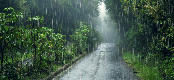 Peringatan Dini BMKG: Sore Hingga Malam Hujan Lebat dan Angin Kencang Intai Wilayah Strategis