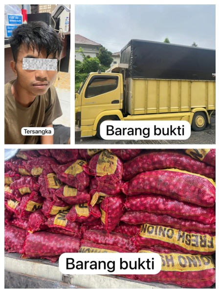 Polres Pelalawan Gagalkan Pengiriman 887 Karung Bawang Ilegal, Diduga Masuk dari Luar Negeri
