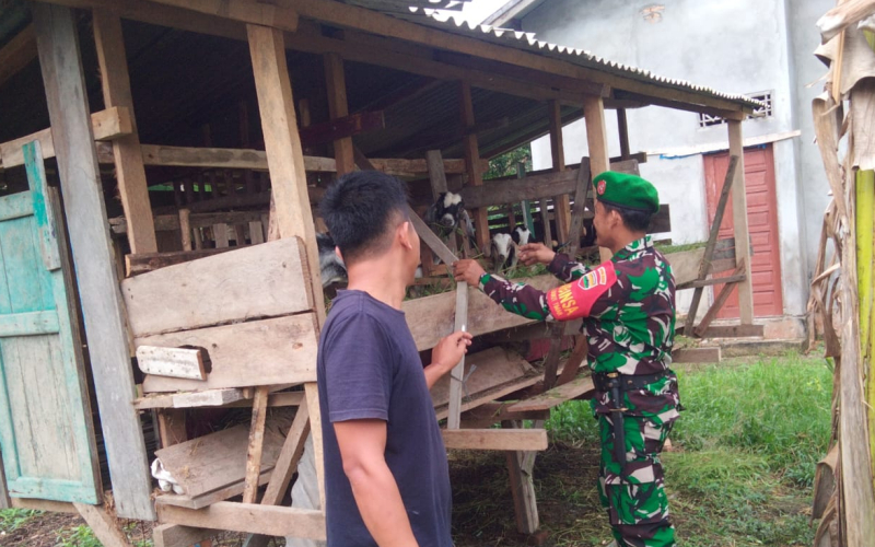 Inisiatif Pencegahan Wabah PMK Dilakukan oleh Babinsa Sertu Sugianto