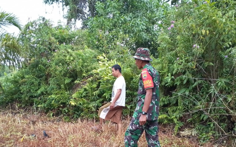 Disejumlah Titik Rawan, Babinsa Bukit Batrem Lakukan Patroli
