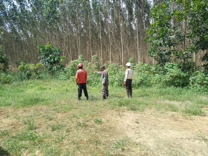 Babinsa Pelda Benriyadi Laksanakan Patroli Karhutla di Sungai Mandau