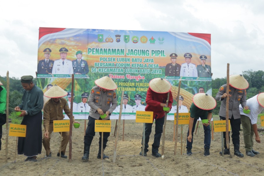 Wakapolres Inhu Tanam 10 HA Jagung Pipil LBJ, Dukung Swasembada Pangan