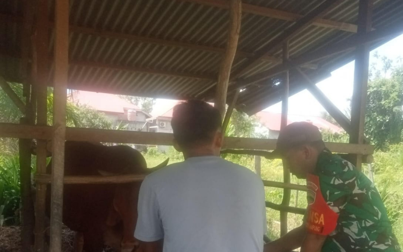 Pencegahan Penyakit di Peternakan, Babinsa Serda Marwis Sosialisasi