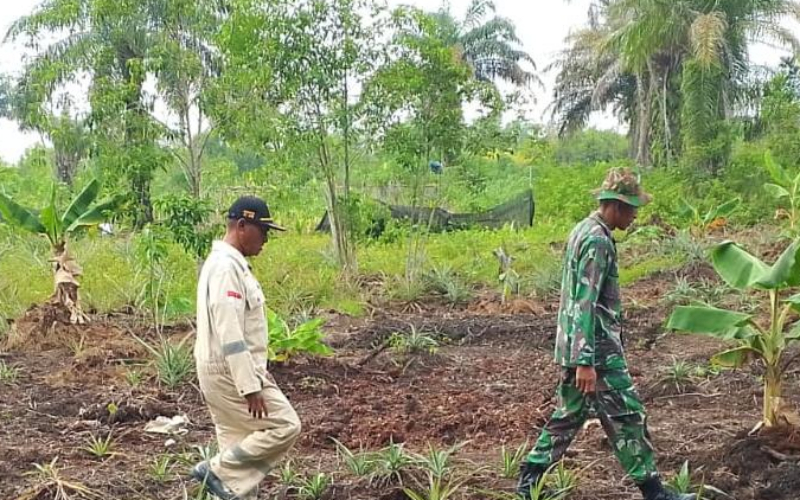 Tak Ditemukan Titik Api, Patroli Karhutla Bukit Batrem Berjalan Aman dan Lancar