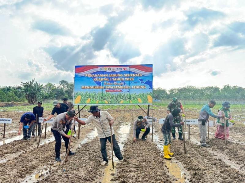 Penanaman Jagung Pipil Serentak Kuartal I, Polres Inhu Bersama Mitra di Tujuh Lokasi