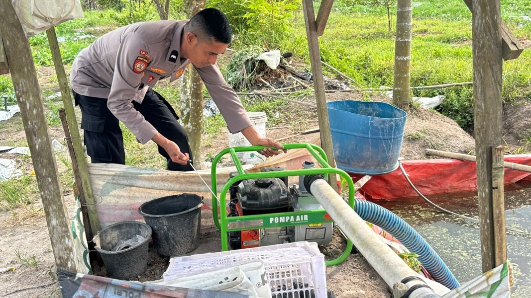 Dukung Ketahanan Pangan, Polsek Koto Gasib Turun Langsung Siram Tanaman Jagung Poktan Mekar Sari