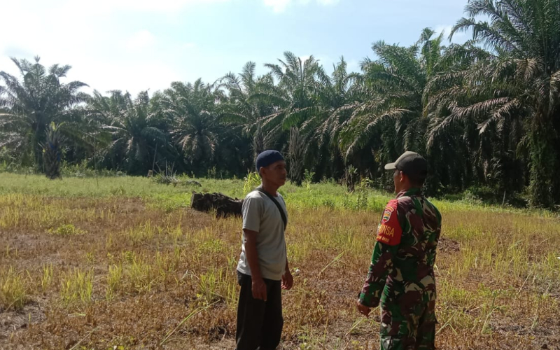 Patroli dan Sosialisasi Karhutla Dilaksanakan oleh Babinsa Basilam Baru