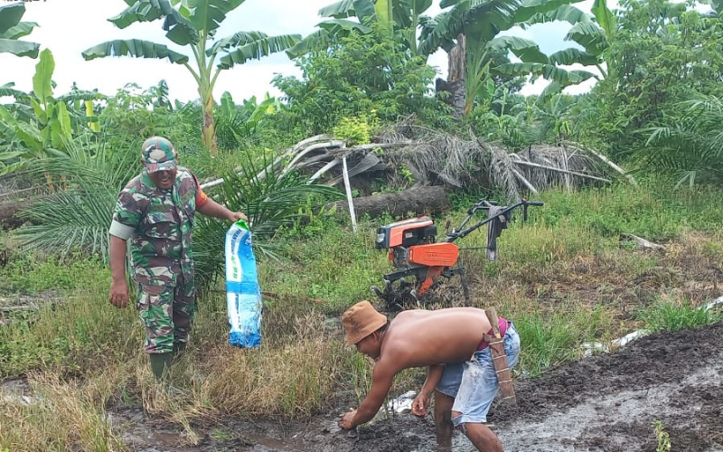 Sertu Roni Sandra Bantu Petani Kembangkan Tanaman Semangka di Bukit Kapur