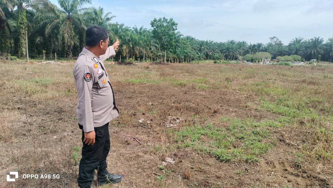 Polsek Minas Cek Kesiapan Lahan Jagung Kuartal II di Kampung Rantau Bertuah Untuk Dukung Ketahanan Pangan Nasional