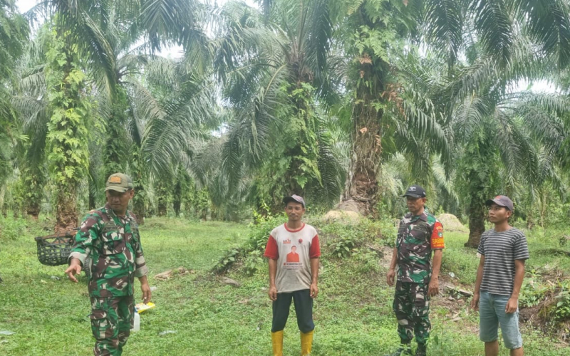 Patroli Aman, Babinsa Bukit Kapur Edukasi Warga Soal Bahaya dan Sanksi Pembakaran Lahan