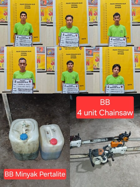 Operasi Gabungan Bongkar Illegal Logging di Konsesi PT SPA