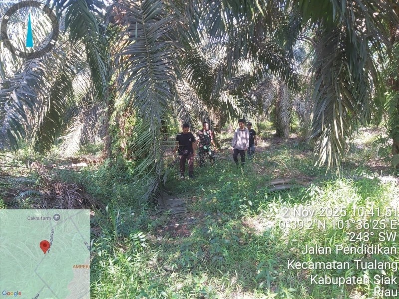 Babinsa Serda K. Manullang Laksanakan Patroli Karhutla di Kampung Tualang, Siak
