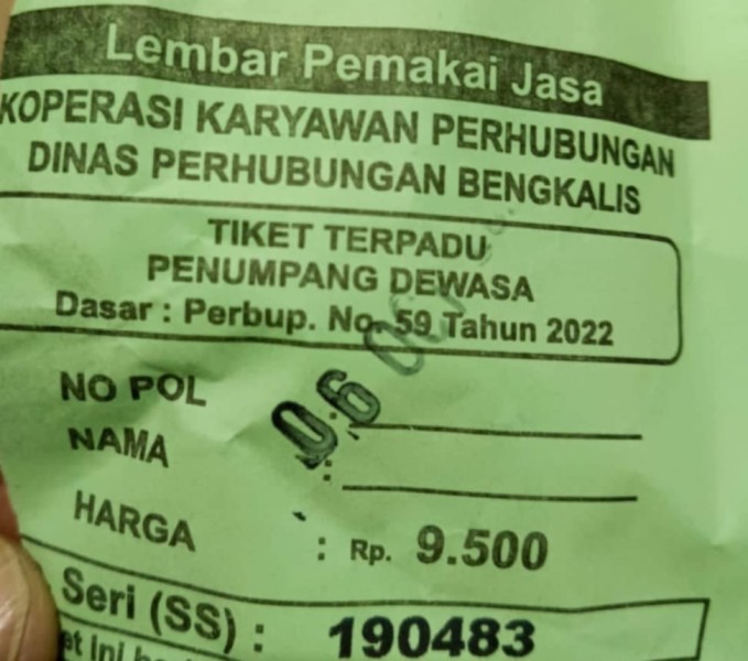 Temuan BPK Ungkap Masalah Retribusi RoRo Bengkalis, Pembentukan Satgas Dinilai Tak Sentuh Akar Masalah