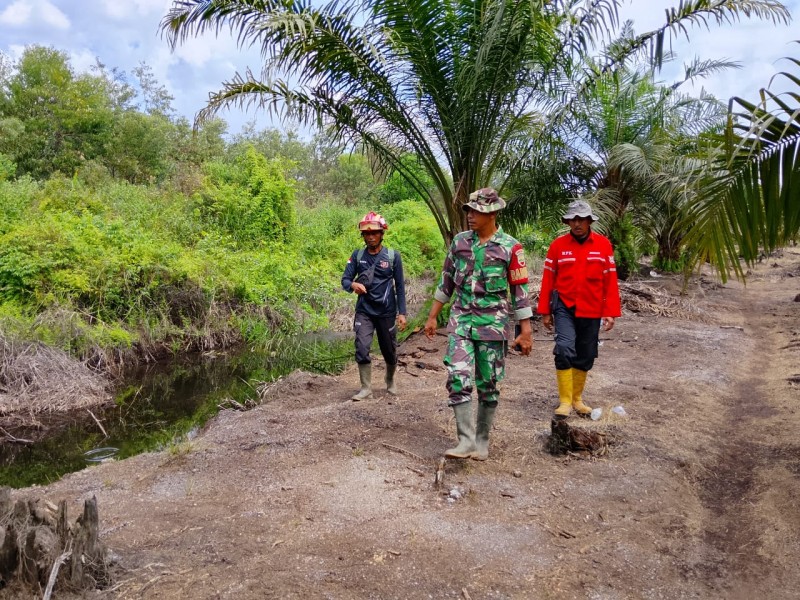 Patroli Karhutla di Minas: Babinsa Koramil 03/Minas Pastikan Tidak Ada Titik Api di Dusun Lukut