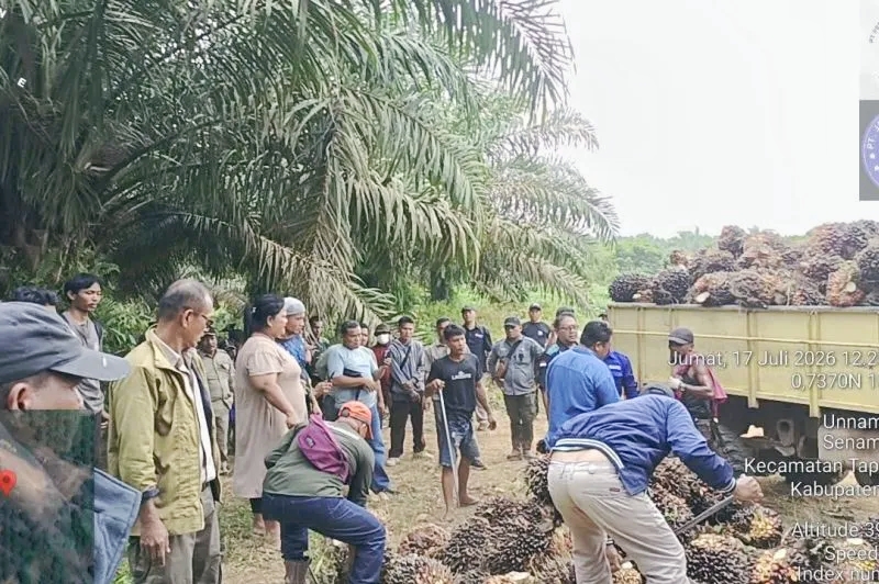 PTPN IV tempuh jalur hukum sikapi aksi pencurian sawit terorganisir di Sei Berlian