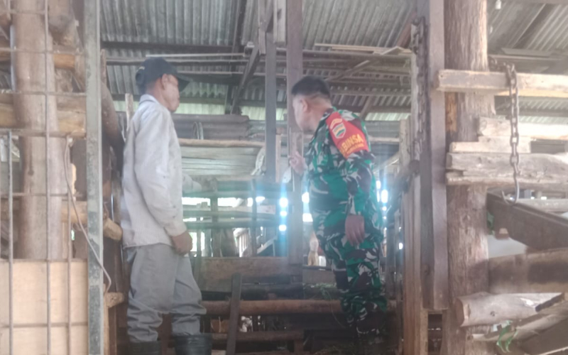 Cegah PMK, Babinsa Purnama Aktif Lakukan Pemantauan dan Sosialisasi ke Peternak Kambing