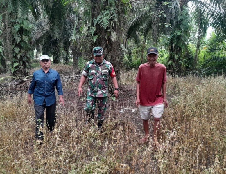Babinsa Sertu Venus Luberto Gencar Lakukan Patroli Karhutla di Perawang
