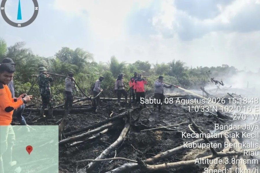Polda Riau Turunkan 5 Ahli Bongkar Karhutla HGU PT TKWL, Scientific Evidence Jadi Senjata Penyidikan