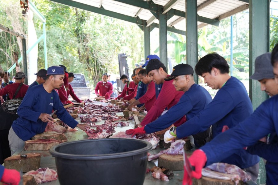 Pertamina Patra Niaga Kilang Dumai Salurkan 100 Hewan Kurban untuk Masyarakat dan Dukung Peternak Lokal