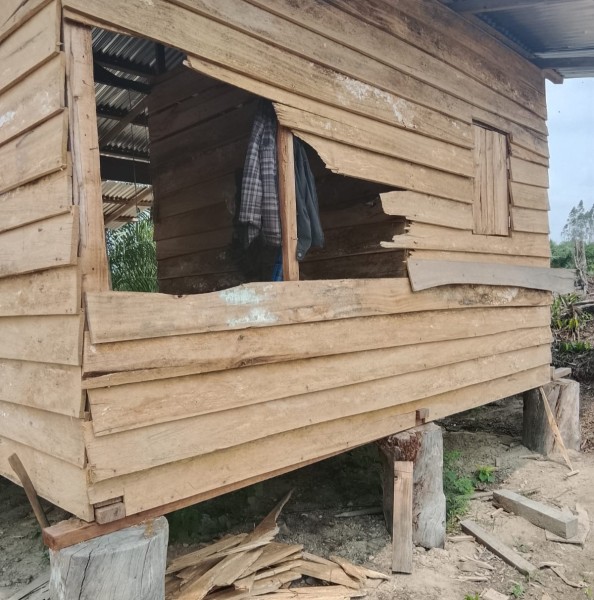 Gajah Liar Masuk Kebun Sawit Warga di Kampung Muara Bungkal, Masyarakat Resah Minta Penanganan Segera